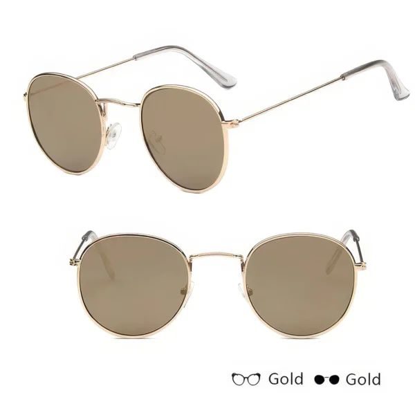 Lunettes de Soleil - Style Classique et Élégant