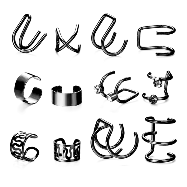 Lot Faux Piercings d'Oreille - Styles Variés